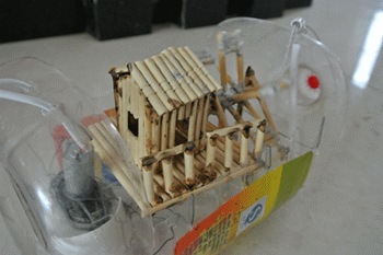 DSC_0940_副本.gif 自制水泵后做的小“盆景”