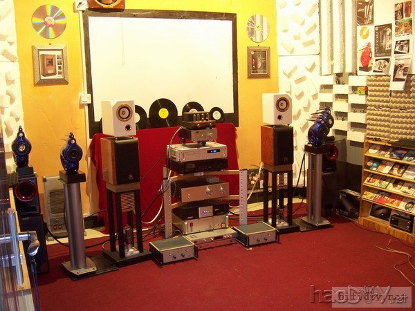 超级精心制作仿英国B&W天价鹦鹉螺音箱