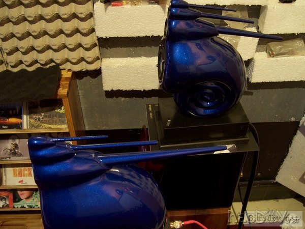 超级精心制作仿英国B&W天价鹦鹉螺音箱