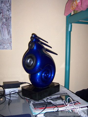 超级精心制作仿英国B&W天价鹦鹉螺音箱