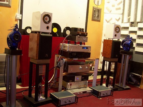 超级精心制作仿英国B&W天价鹦鹉螺音箱