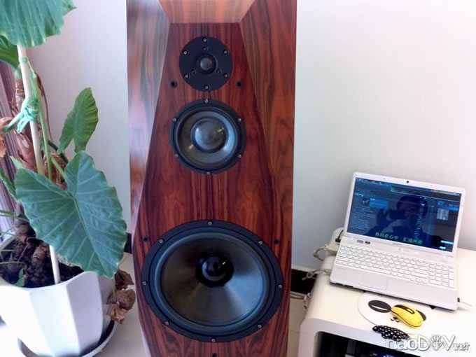 顶级大落地音箱分频器及调校 绅士宝6640+魔雷SCM634+伊顿12-68