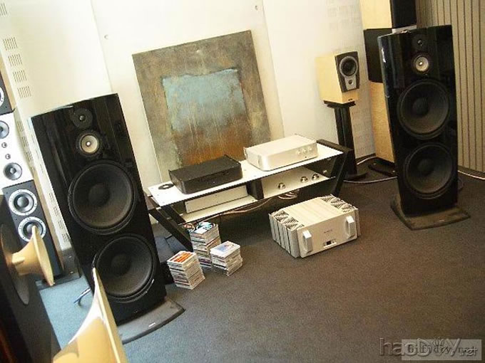 跟风玩障板,关键词:号角高音,15吋,障板音箱……