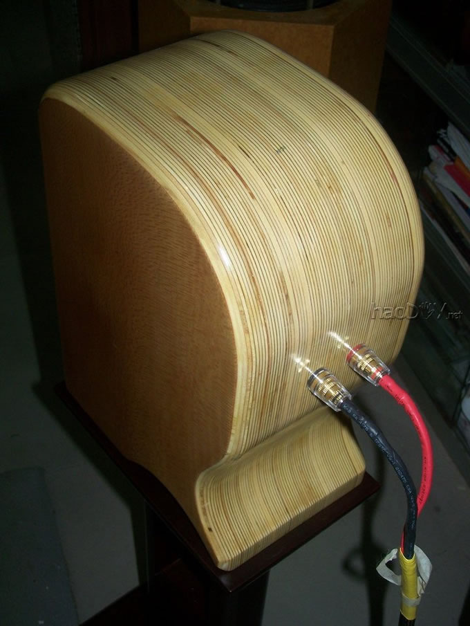 中国喇叭花全频音箱DIY痴人--李齐车老师