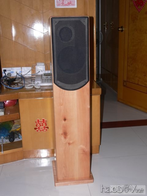 SCAN 8545 +SCAN 9300 仿制 “贵族2.5”音箱