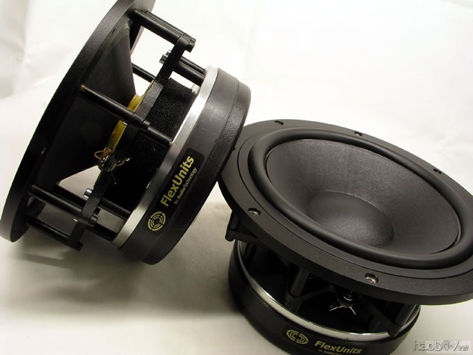 入门话题:喇叭扬声器单元的基本结构