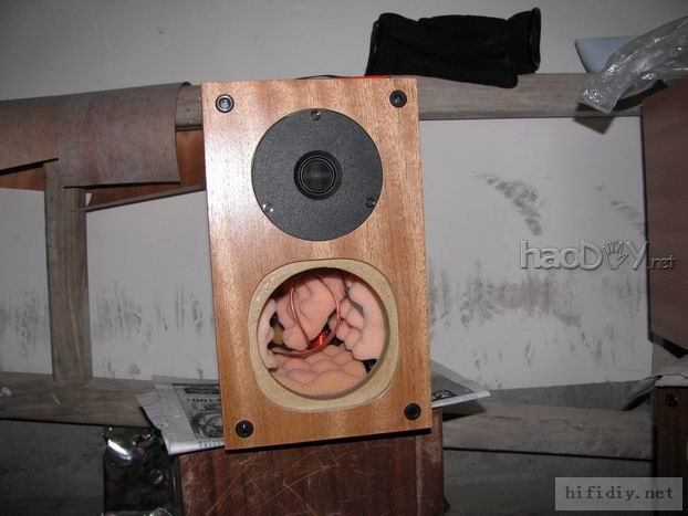 重新做 西雅士(SEAS)H149+h605小书架箱