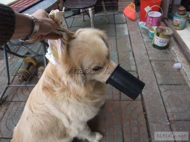 开工,diy制作12寸大落地音箱,配合音柱用