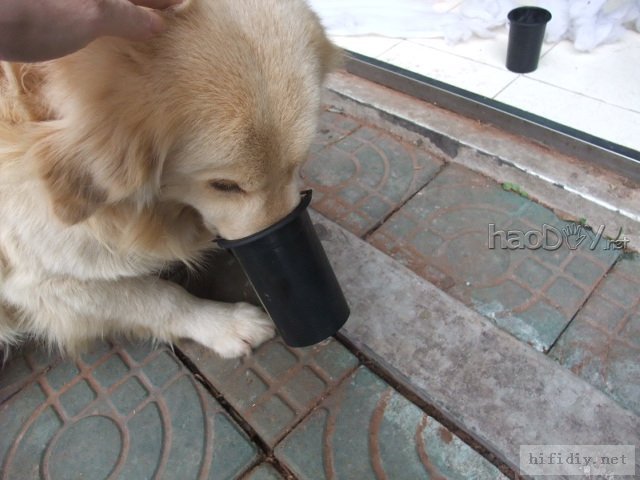 开工,diy制作12寸大落地音箱,配合音柱用