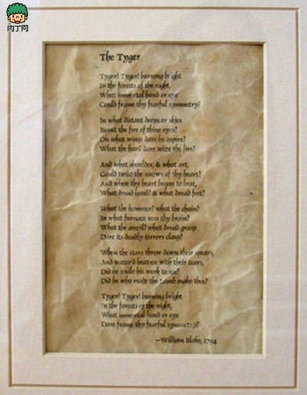 ֽDIYֹһ⣢Ϲžᣢһ