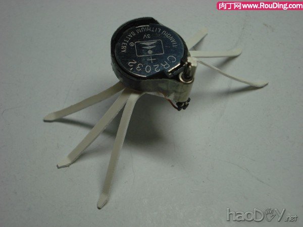 自制可爱的暴走电子昆虫机器人DIY图解