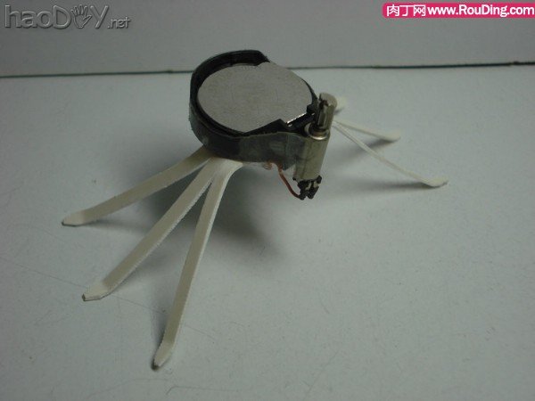 自制可爱的暴走电子昆虫机器人DIY图解