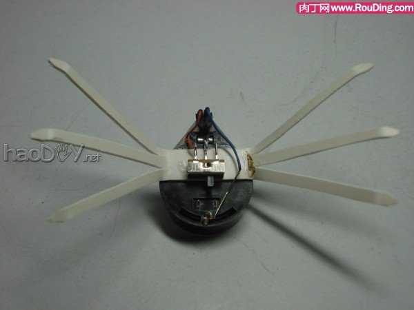 自制可爱的暴走电子昆虫机器人DIY图解