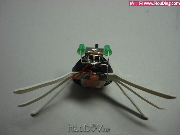 自制可爱的暴走电子昆虫机器人DIY图解