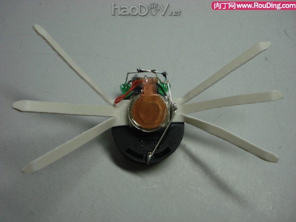 自制可爱的暴走电子昆虫机器人DIY图解