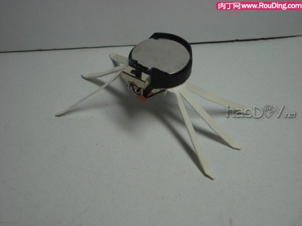 自制可爱的暴走电子昆虫机器人DIY图解