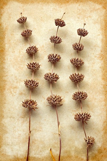 制作一组利用旧物DIY创意家居墙面挂饰