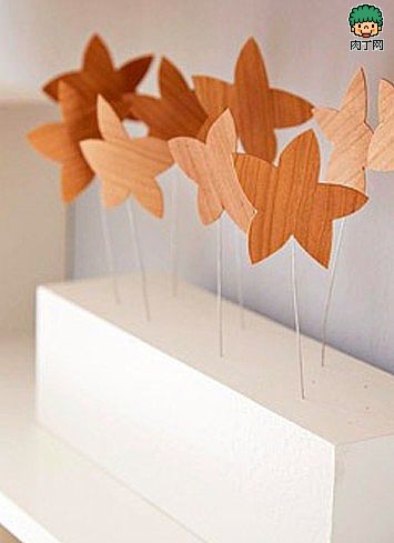 diyҾƷDIY׽Ȼ鶯լϸ