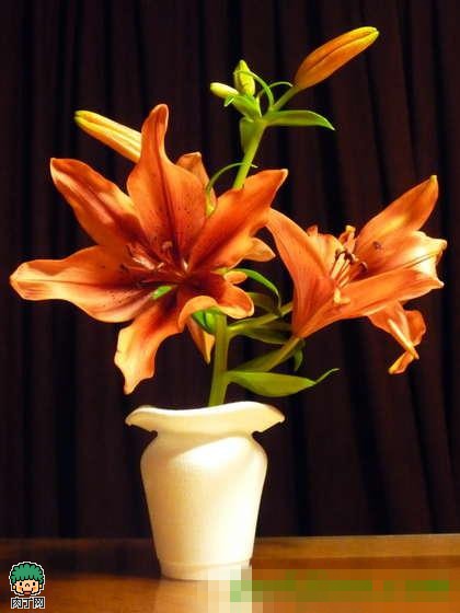 diy塑料泡沫杯改造 一次性杯子摇身变唯美花瓶