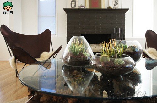自制diy制作:鱼缸类玻璃容器下的简易盆栽设计