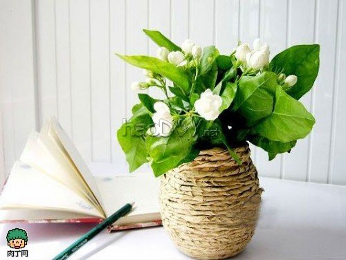 diydiy牛皮纸信封改造废弃玻璃罐,自制唯美田园花瓶