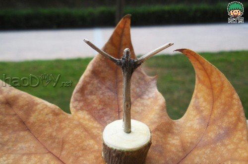 制作树枝和落叶的的华丽转身DIY作品