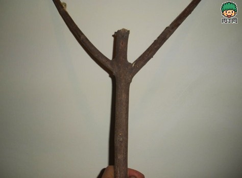 diy树枝废物利用 树枝桌等树枝家居装饰手工制作