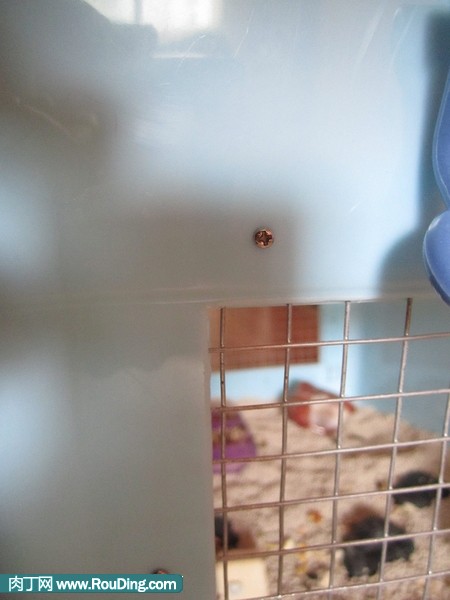 diy用废弃塑料整理箱、米桶自制diy仓鼠笼