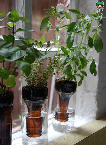 diy教你用酒瓶DIY实用个性的艺术花器