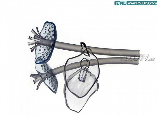 diy饮料瓶废物利用首饰DIY设计作品欣赏四、胸针