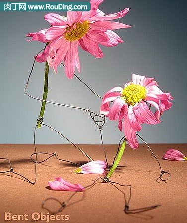 自制铁丝的趣味DIY艺术创意、铁丝小制作作品欣赏(第1页)