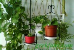 制作垂吊花盆架