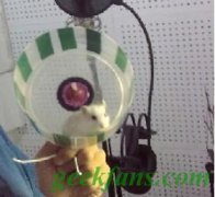 制作自制仓鼠跑轮