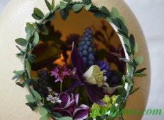 diy蛋壳DIY创意植物小天地