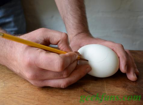 diy蛋壳DIY创意植物小天地