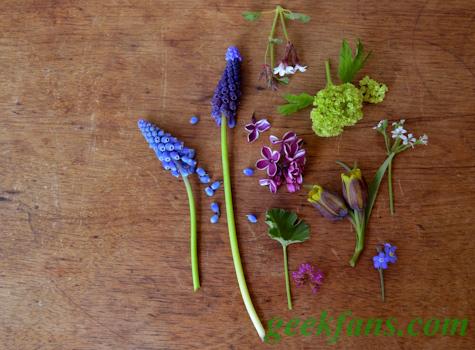 diy蛋壳DIY创意植物小天地