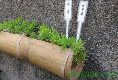 制作自制悬挂竹筒花盆