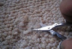 diy教你修复被香烟烫坏的地毯