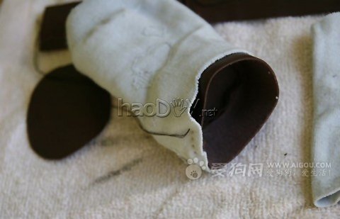 diy给狗狗DIY双鞋子