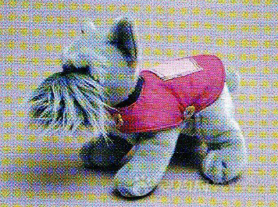 diyDIY狗狗贴身保暖披风