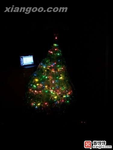 diy废物利用DIY:废旧垃圾DIY圣诞树