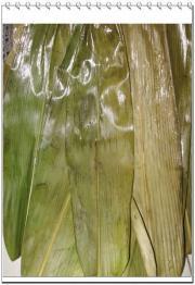 制作怎样包粽子