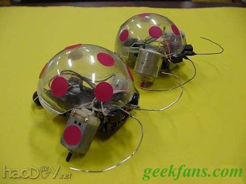 制作DIY甲壳虫机器人