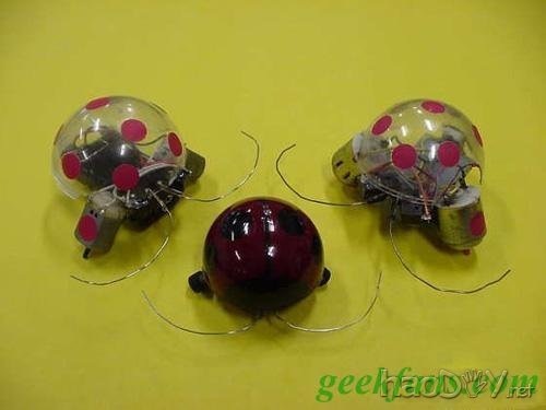 制作DIY甲壳虫机器人