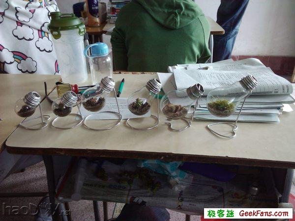 自制灯泡植物:一灯一世界
