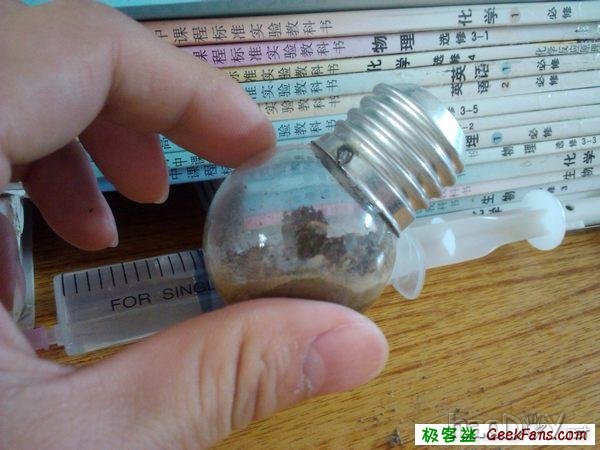 自制灯泡植物:一灯一世界