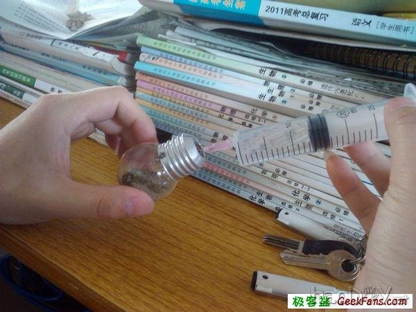 自制灯泡植物:一灯一世界