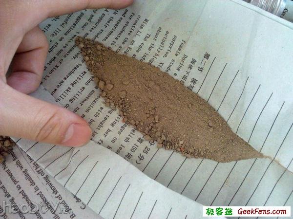 自制灯泡植物:一灯一世界