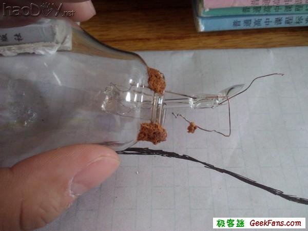 自制灯泡植物:一灯一世界