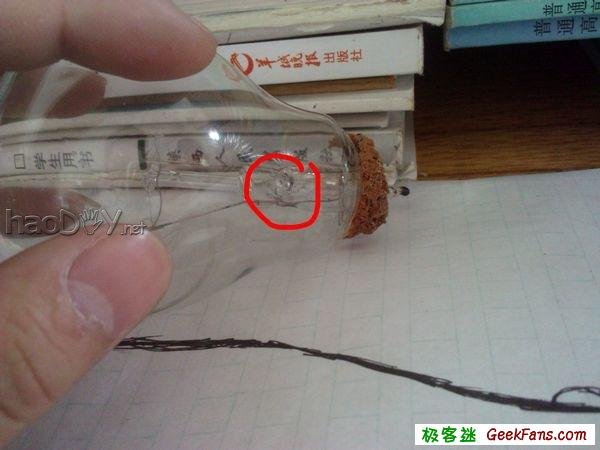 自制灯泡植物:一灯一世界